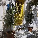 Artist - Triantafyllou Birth House Kéfalos